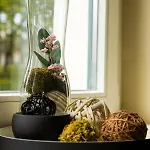 Forsthaus Edelburg بيت للعطل *